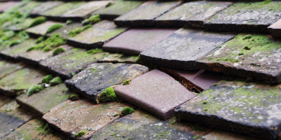 Tyle roof repair costs